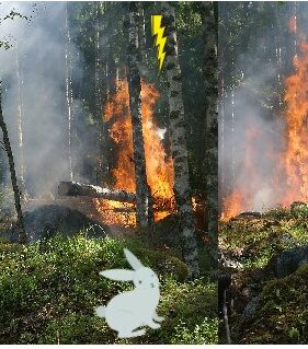 Image of Eco's Run game